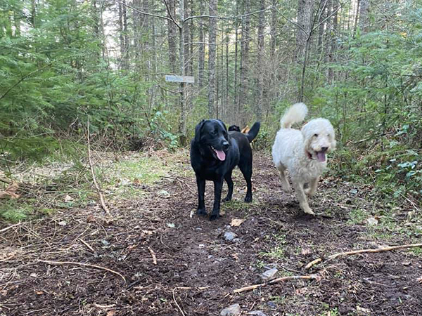 Cooper and Zach
